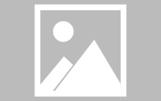 桂林网页设计师周记（网页设计周记26篇300字）